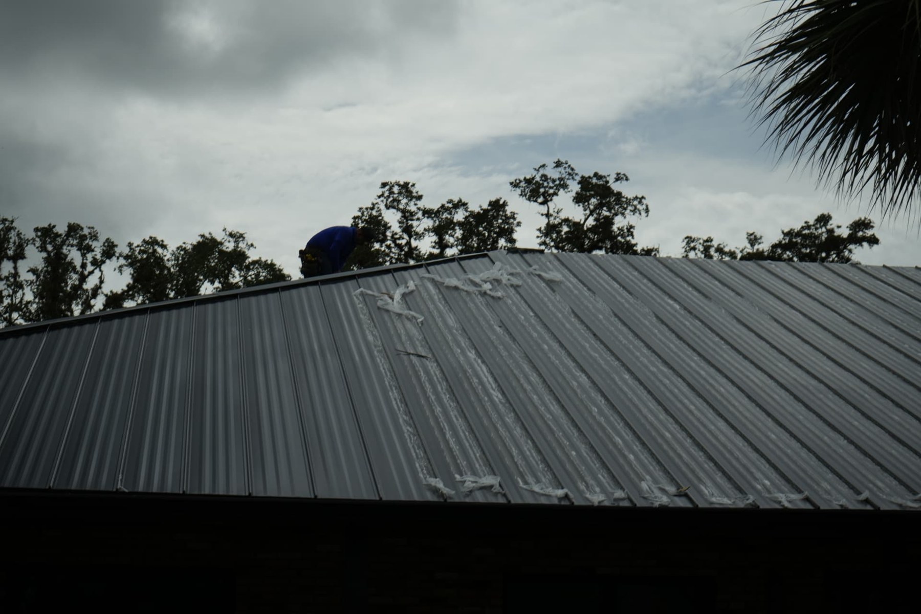 Metal roof panels with protective film and a crew member at the ridge during a small commercial roofing job in Kissimmee, Florida